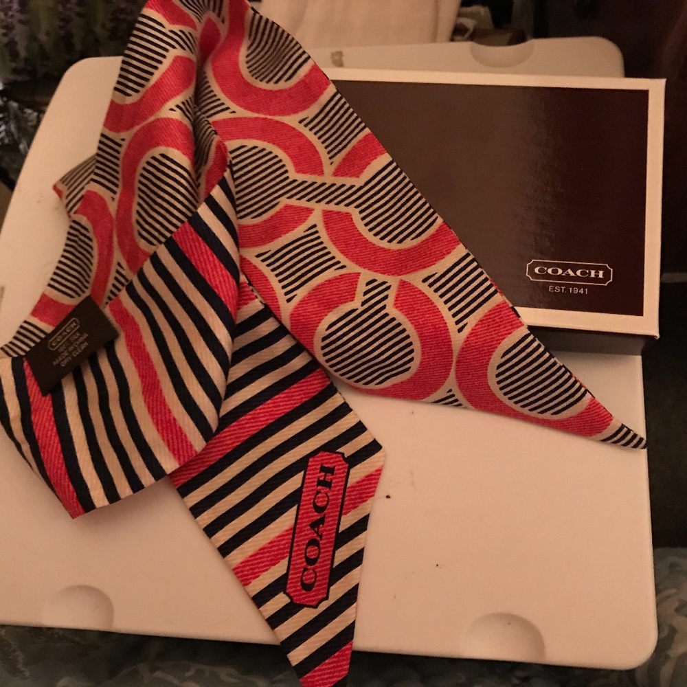 Coach scarf, pony tail, nautical